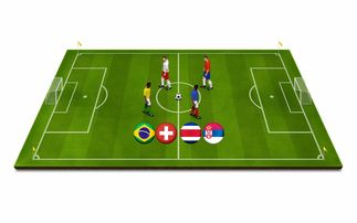 Milan Sports-世界青少年冰壶锦标赛中国队奋勇争先，中国青少年冰壶公开赛冠军