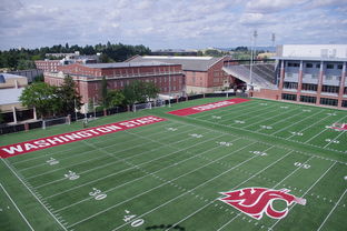 MILANSPORT入口-法甲联赛可持续环保运动场地建设实践