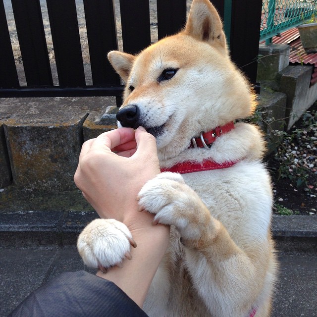 米兰体育-五大联赛是否更依赖高效中场联动转移推进轴，五大联赛转会市场什么时候截止