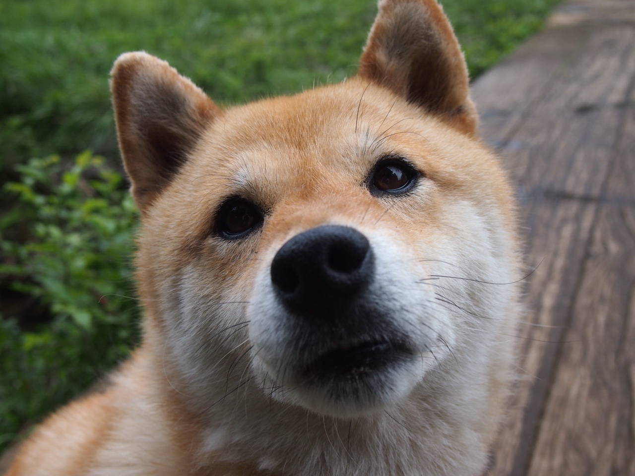 米兰体育官网-基层足球赛事组织难题,足球联赛组织方案