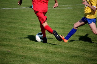 米兰登录入口-特色足球文化在国际博览会中亮相，展示国家软实力，世界足球文化