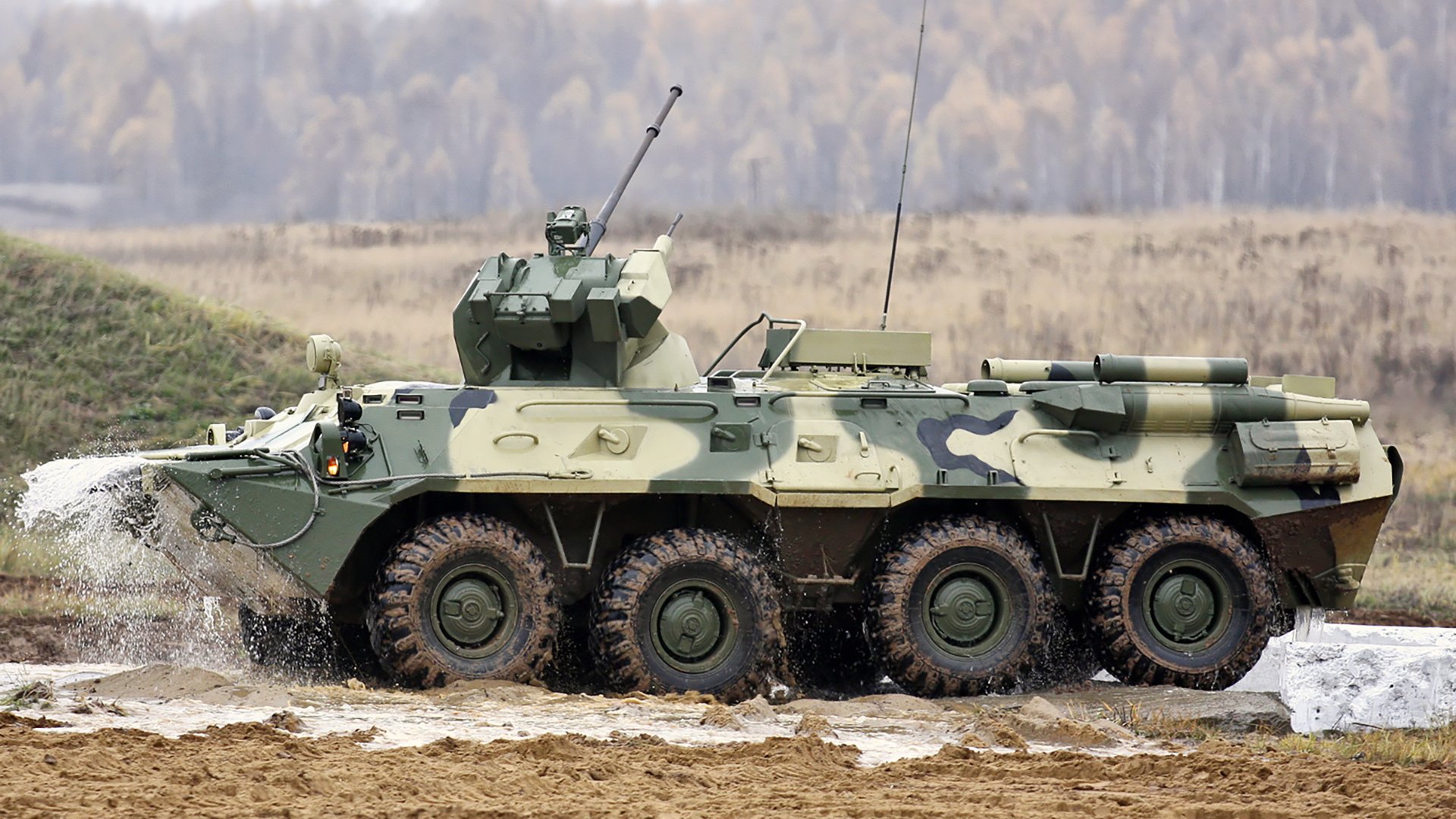 MILANSPORT入口-荷兰仰泳新星闪亮登场，2022年生儿子生肖