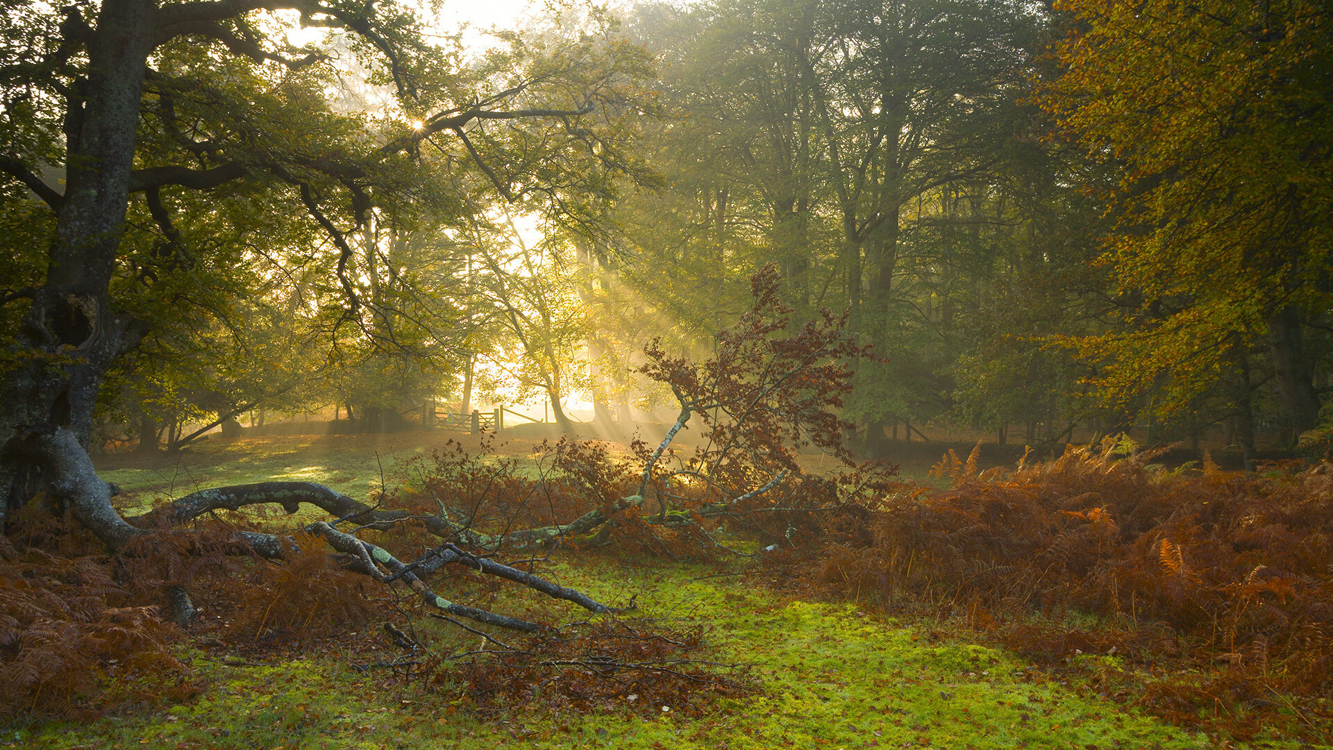 -AI生成赛事战报辅助人工编辑提升准确率，ai比赛
